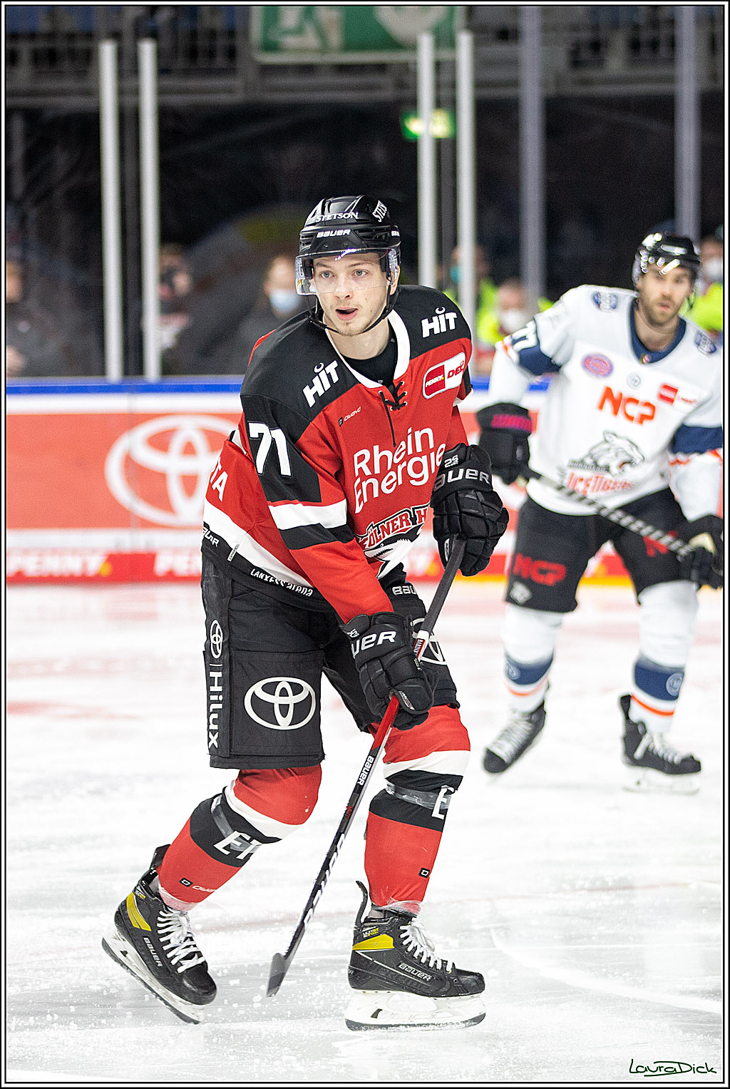 PENNY DEL; Koelner Haie- Nuernberg Ice Tigers; Koeln, 03.12.2021